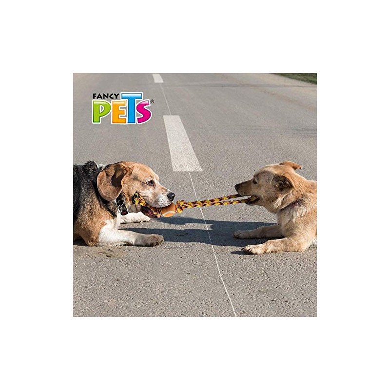 Fancy Pets Juguete de SOGA Tejida con Pelota de Tenis