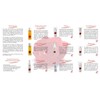 CMD Naturkosmetik: Feuchtigkeitsmaske Rose Exklusiv Kosmetik: CMD Naturkosmetik: Groesse: Feuchtigkeitsmaske