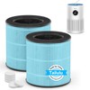 Tailulu D10 Replacement Filter,Air Purifier Filter for Tailulu D10 Air