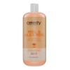 Celesty Shampoo Artesanal De Miel Orgánica Jalea Real 1lt Celesty