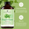 Handcraft Blends Peppermint Essential Oil – Huge 4 Fl Oz