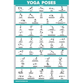 Palace Learning QuickFit Yoga Position Exercise Poster - Yoga Asana Poses Chart - Laminated, 18" x 27"