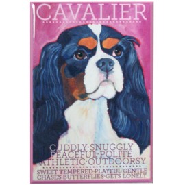 Cavalier King Charles Fridge Magnet