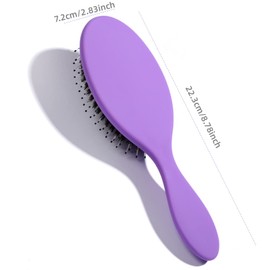 Hair Extension Brush and Detangler Massage Hair Brush Professional Detangle Natural Bristle Cushion Nylon Brush Comb Soft Bristle Hairbrushes for Women