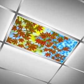 WYNIM 2 Pack Maple Leaf Fluorescent Light Cover for Ceiling Light - Magnetic Light Covers Classroom, Light Filters Drop Fluorescent Light Shade Panel for Office Home School,4 X 2 Ft