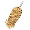 Grab Our Nuts Dill Pickle Flavored Roasted Peanuts - High