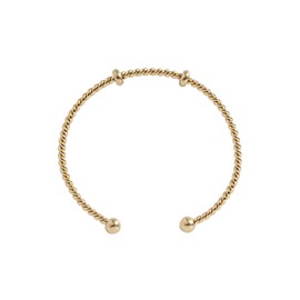 Alex and Ani Little Loves Charm Bundle Interchangeable Twisted Cuff Base​