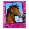 Horses Dreams Pink Secret Diary