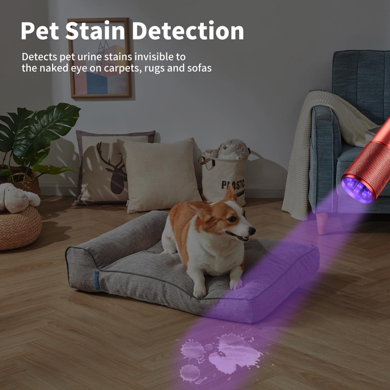 LEAGY 6 Pack UV Ultra Violet Blacklight 9 LED Flashlight