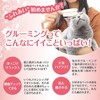 Petio Precision Polish Brush for Soft Cat