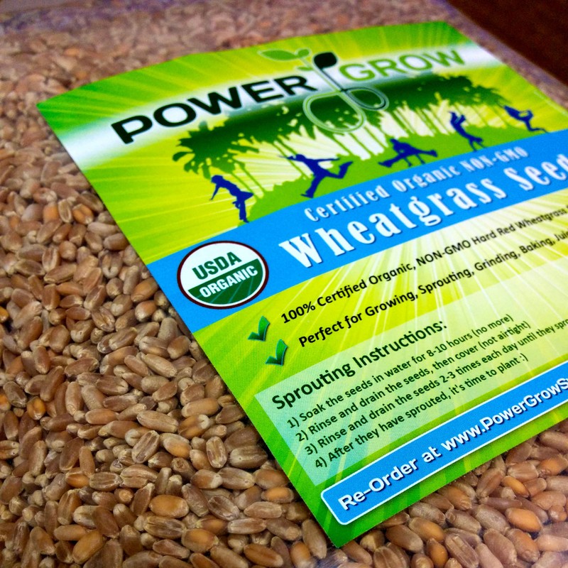 Organic Wheatgrass Seed - Certified Organic Hard Red Wheat by