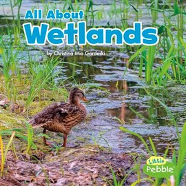 All About Wetlands (Habitats) (Little Pebble: Habitats)