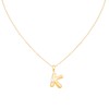 Milan Chiva Initial Letter Pendant Necklaces 14K Gold Plated Dainty
