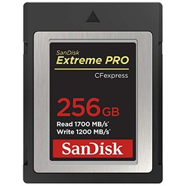 SanDisk 256GB Extreme PRO CFexpress Type B card RAW 4K video recording + RescuePro Deluxe up to 1700 MB/s