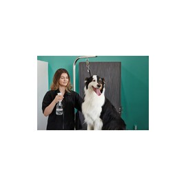 Groomer Essentials Continuous Spray Bottle 24 oz. - Pack of 3