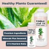 TPS NUTRIENTS Fiddle Leaf Fig Plant Food for All and