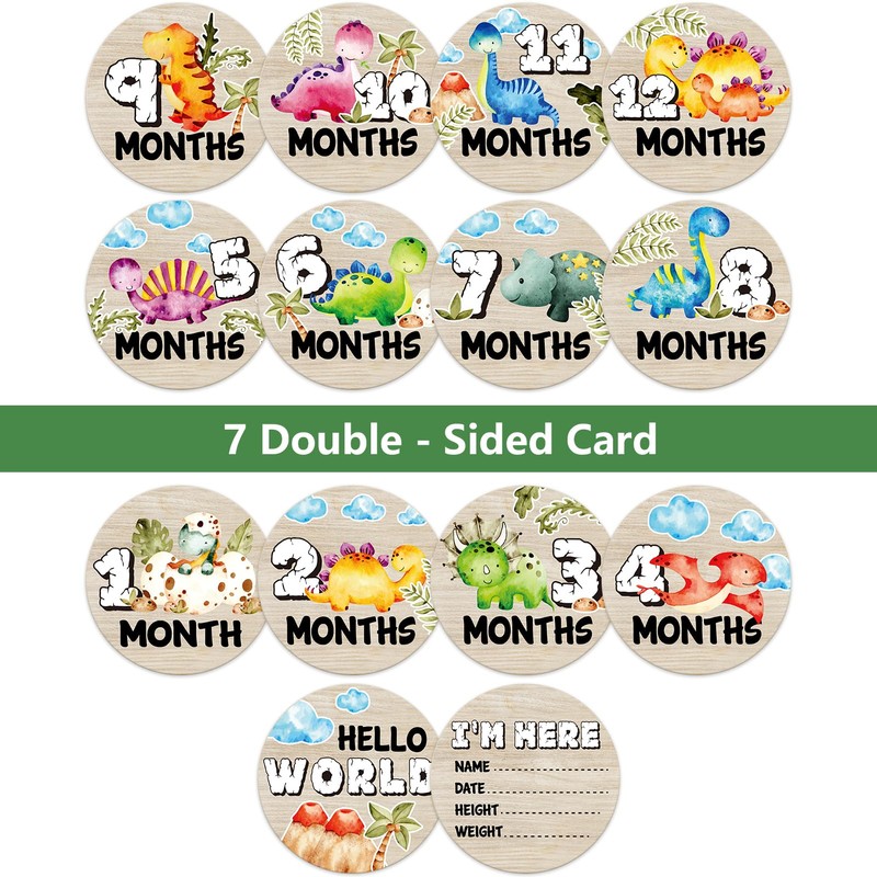 Dinosaur Baby Monthly Milestone Circles, Baby Months Wooden Disc Stuff