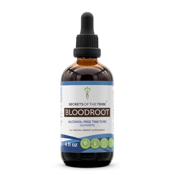 Secrets of the Tribe Bloodroot Alcohol-Free Tincture Extract, Responsibly farmed Bloodroot (Sanguinaria Canadensis) Dried Root (4 fl oz)
