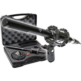 The Imaging World Professional Advanced Broadcast Microphone and Accessories Bundle for Canon VIXIA HF R800 R700 R600 R500 R80 R70 R60 R50 R82 R72 R62 R52 Camcorders