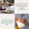 Corazón Verde Esponjas De Fibra Natural De Ixtle De Maguey