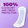 Poise Ultra Thin Incontinence Pads, 5 Drop Maximum Absorbency, 36