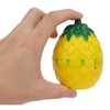 Kitchen Timer, Lovely Pineapple Kitchen Timers for Cooking Wind up