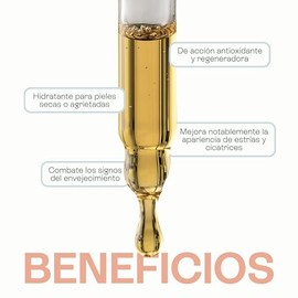 Aceite de Germen de Trigo 100 ml | Antioxidante Nutritivo | Hidratación Profunda Anti-edad | Regenerador Piel | Brillo y Soporte Anticaída Cabello