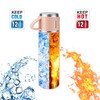 Stainless Steel Thermo 500ml/16.9oz Vacuum Insulated Bottle with Cup for