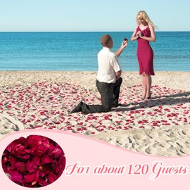 Flower Confetti Wedding 500 g, 100% Petals, Natural Dried Rose Petals, Organic Confetti Rose for Birthday, Proposal, Party, Celebrations, Environmentally Friendly and degradable (500)