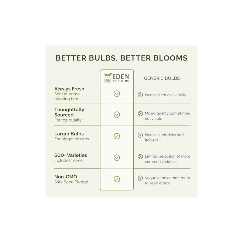 Eden Brothers Ranunculus Bulbs - Cafe