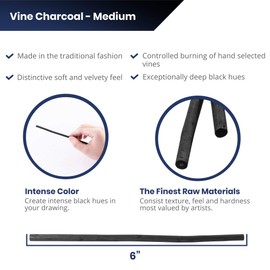 Pacific Arc Artist Vine Charcoal, Medium, Black 12 Pieces, Artist Vine Charcoal Sticks, Medium and Smooth Drawing Charcoal