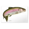 CafePress Rainbow Trout 1 Rectangle Bumper Sticker Car Decal