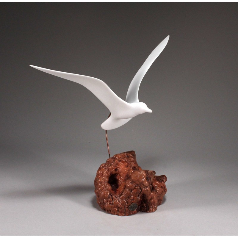 Seagull Sculpture by John Perry "Wings up" Style on Burl