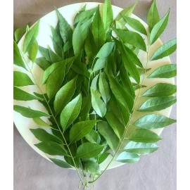 Fresh USDA Cert -10 oz- Fresh Curry Leaves on Petiole CA-grown,organ