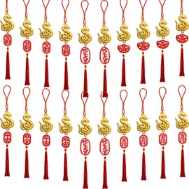 20 Pcs 2025 Chinese New Year Snake Lucky Charms Red Hanging Chinese New Year Feng Shui Decor Oriental Good Luck Charms for Home Wealth Success Good Luck (20, Chinese Characters
