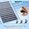 Natural Lash Clusters 12-16mm Wispy Eyelash Clusters 192pcs Cluster Eyelash