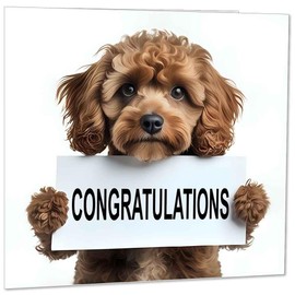 Congratulations Card - Cavapoo Design 145mm x 145mm