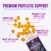 Probiotic Gummies for Digestive & Immune Health, 5 Billion CFUs,