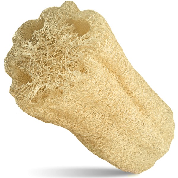 Loofah Moments Loofah Sponge | Your Bath Sponge for Healthy Exfoliation | Loofah Natural Sponge for Skin Care | 100% Compostable