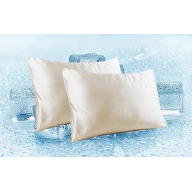 Queen Size Pillow Protectors Viscose Derived from Bamboo - Set of 2 Zippered, 400 Thread Count Cooling Pillow Case 30x20 Inch Soft Hotel Quality(2 Pcs, Zippered, Beige, Queen)…