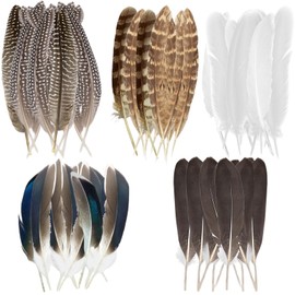 Vimmvid Pack of 50 Guinea Fowl Feathers for Crafts, Pheasant Feathers Decorations, Large Feathers, Mixed Spotted Craft Feathers, Crafts for DIY, Easter, Dream Catcher, Mask, Hats, Wedding Party