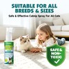 Catnip Spray for Cats with Silvervine, Enhance Playtime & Relaxation,