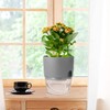 iDattel Herb Pot Kitchen Set, Window Sill, Self-Watering Set of