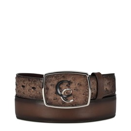 Cuadra Men's Western Belt in Ostrich Leather Brown CV496A1 (34)