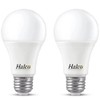 Halco Lighting Technologies universel Garage Door led Bulb (Cool White,