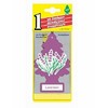Little Tree Air Fresheners (3 Pack) - Lanvender