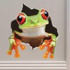 Tree Frog Wall Decal – 3D Vinyl Sticker – Peel