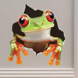 Tree Frog Wall Decal – 3D Vinyl Sticker – Peel & Stick Removable Animal Decor for Walls and More