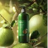 COCOONORIGINAL Cocoon Pomelo Shampoo (16.9 fl oz)