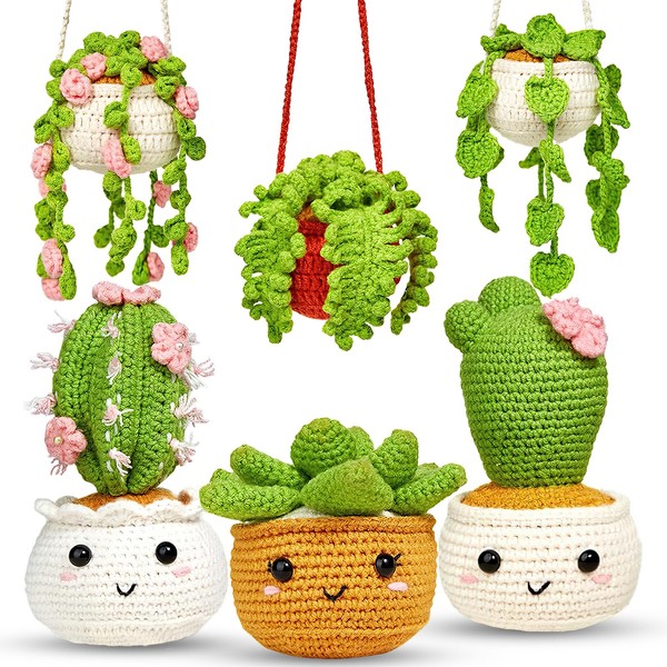 ASTNIC Crochet Kit for Beginners,6Pcs Hanging Potted Plants Knitting Starter